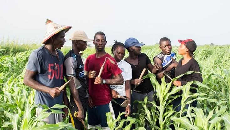 Agribusiness